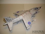 Sea Harrier Mk 1 (14).JPG

63,16 KB 
1024 x 768 
22.11.2011
